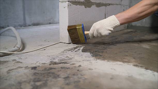 Top rated local Foundation Crack Repair specialists in Olivet, MI